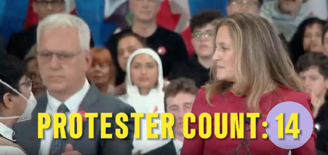 silly protester video