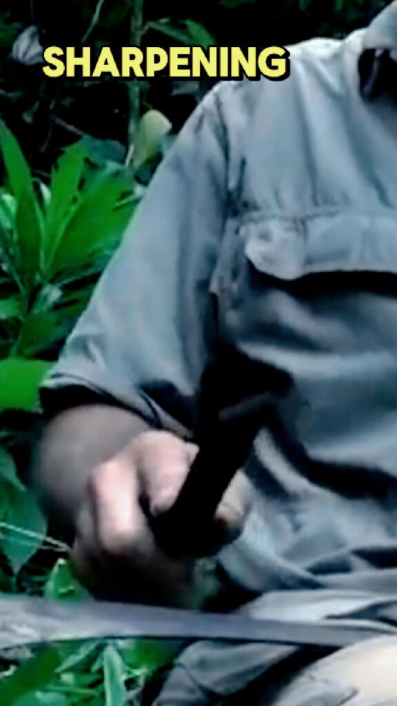 les stroud bushcraft survival