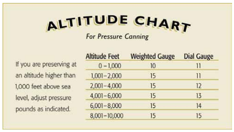 basics of canning food
